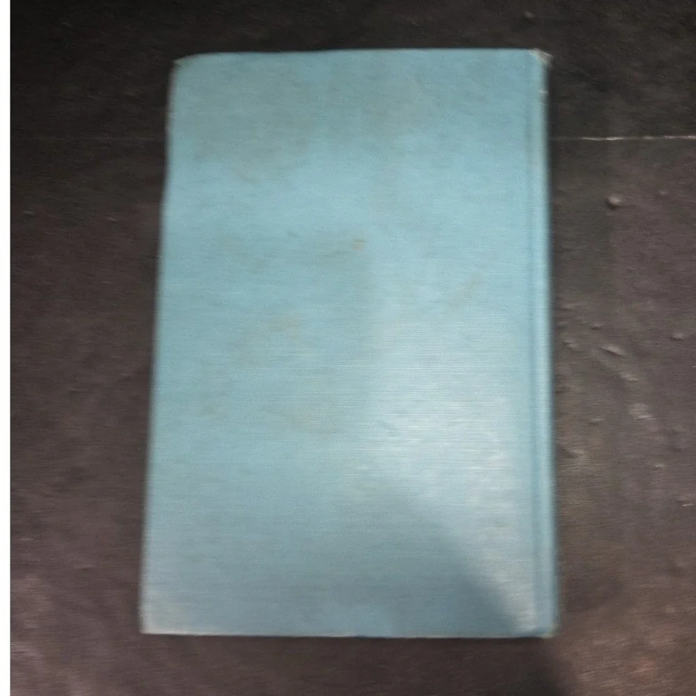 Eudora or The False Princess Mrs Southworth Antique 1910 Blue Decorative Book